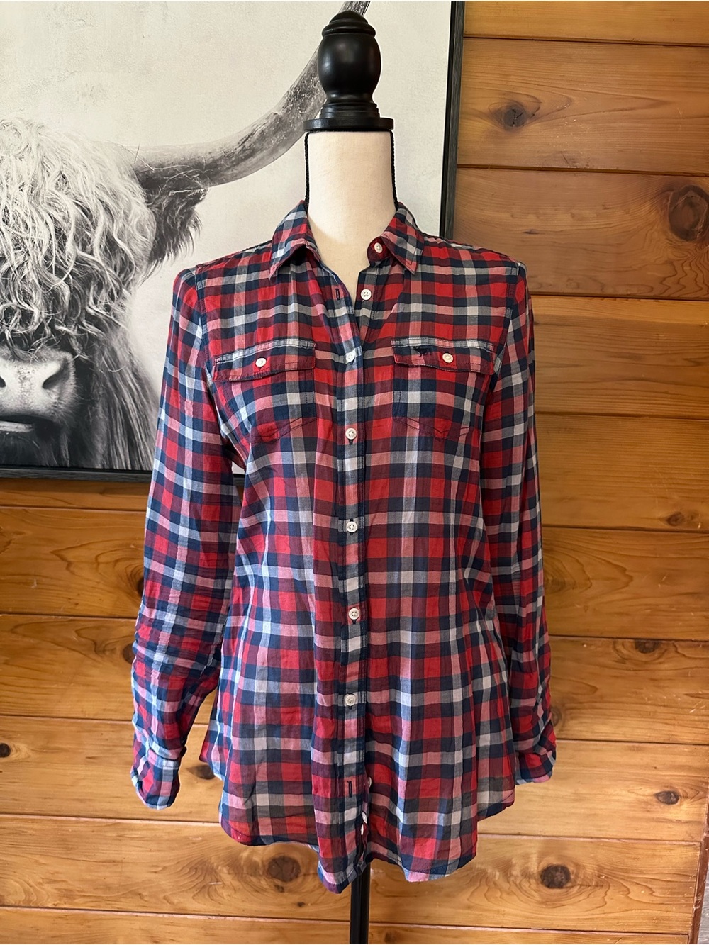 Abercrombie & Fitch Classic Red & Blue Plaid Button-Up Shirt